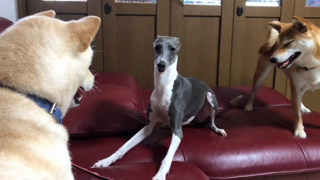 2018/06/22の記事動画