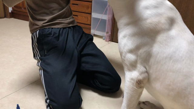 2018/06/20の記事動画