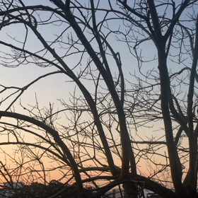朝活32  久々の日の出の瞬間。の画像