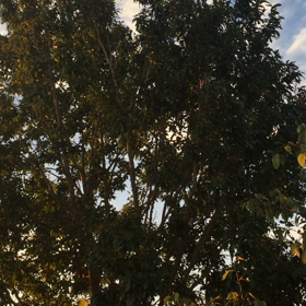 老親宅の片づけ②　ゴミ屋敷寸前だった母宅があまりにもキレイで驚愕した件。の画像