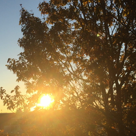 社会に繋がる小さな窓・元アメリカ兵マイクさんが語る、戦争と平和のリアル。の画像