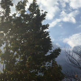 朝型生活記録⑥  「また明日！」と言えるシアワセ。の画像