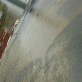 初公開ファーム動画(洪水)②の画像