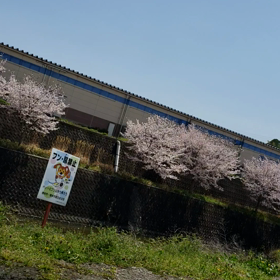ドライブの画像