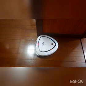 ロボットクリーナーSiRo～玄関検証(落ちないかな～)の画像