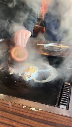 屋形船に乗ってきたー♪の記事動画