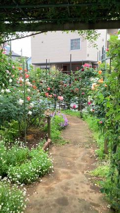 5月だぁ♪の記事動画