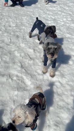 雪遊びと大内宿への記事動画