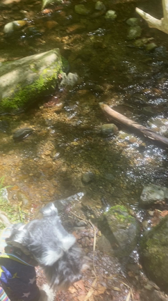 ５月４日御岳山への記事動画