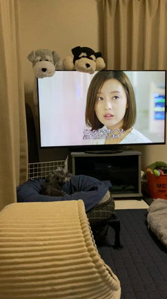 深夜のドラマ鑑賞の記事動画