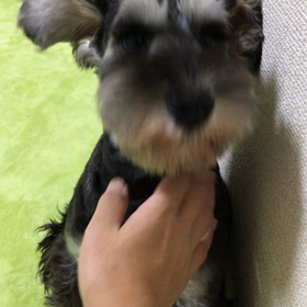 可愛いお手手( ^ω^ )の画像