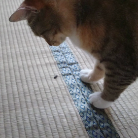 ともだちの画像