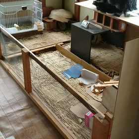 まて❗の画像