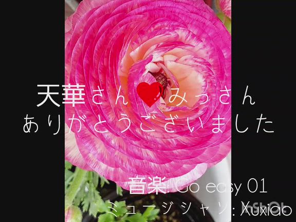 ありがとう♡届きました【限定】過去世繋がり、魂仲間さんの御神託カード♡の記事動画