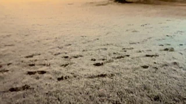 昨日からの雪。の記事動画