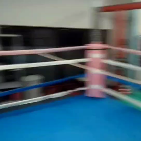 ゴーグロ　映像の画像