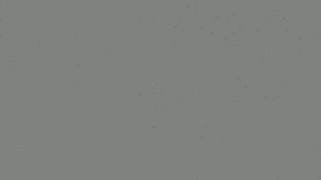 夏越の祓の記事動画