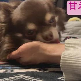 2/13は…の画像