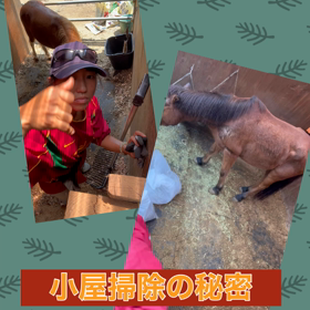 小屋掃除の秘密の画像
