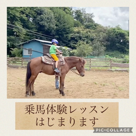 乗馬体験レッスン受付開始の画像