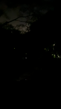 悪いことばかりではなかったです：濱邊の記事動画