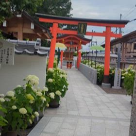 なかみ花あかりの画像