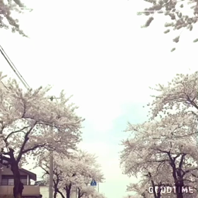 山形〜の画像