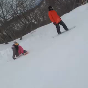 動画の画像