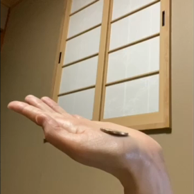 コインと仲良し✨の画像