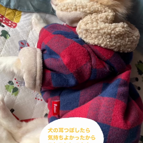 2024/01/07の画像