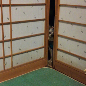 twoの画像