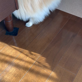ボールあそびしてる〜‼️の画像