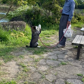 芸達者‼️の画像