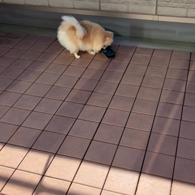 気分転換！の画像