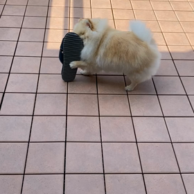 自由奔放！の画像