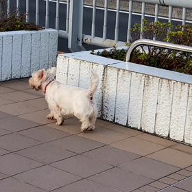 友達になった！の画像