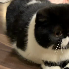 人並みな三連休とくまちゃんの近況の画像