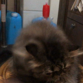 もうすぐお引越し^_^の画像