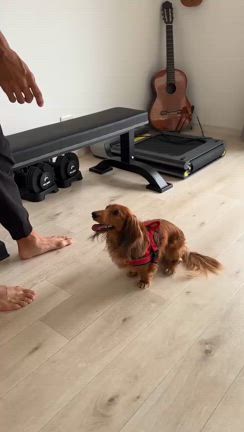 アーース。の記事動画