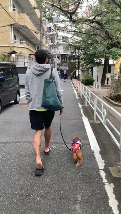 オフツグ。の記事動画