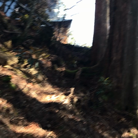 ご神気をお裾分け　その2の画像