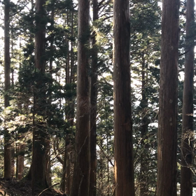 龍神の風　愛情の画像