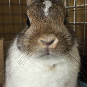 むにゃむにゃとお話(*^^)♡の画像