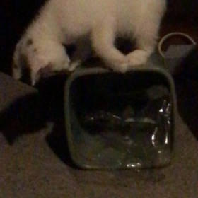 検討中‼️の画像