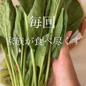 2023/09/07の画像