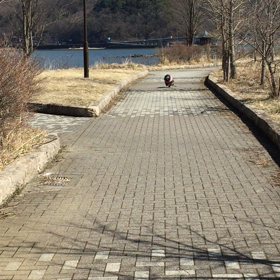 春の陽気の画像