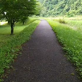母の散歩 ～鳥の鳴き声～の画像