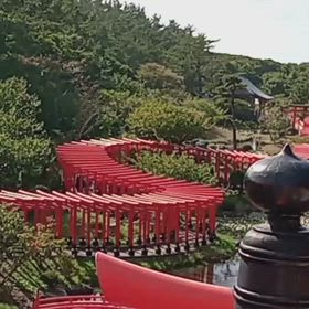 青森の絶景！龍の姿をした千本鳥居】の画像