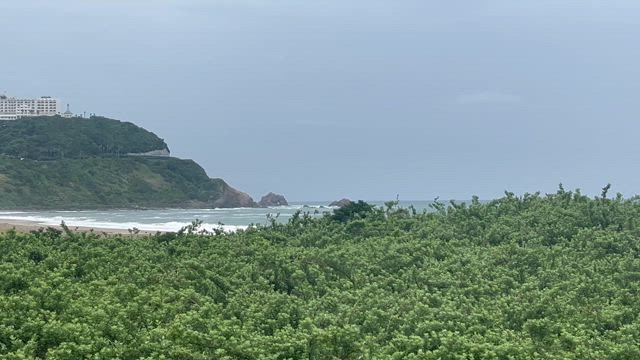 再び伊良湖岬への記事動画