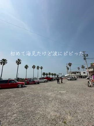 春を満喫の記事動画